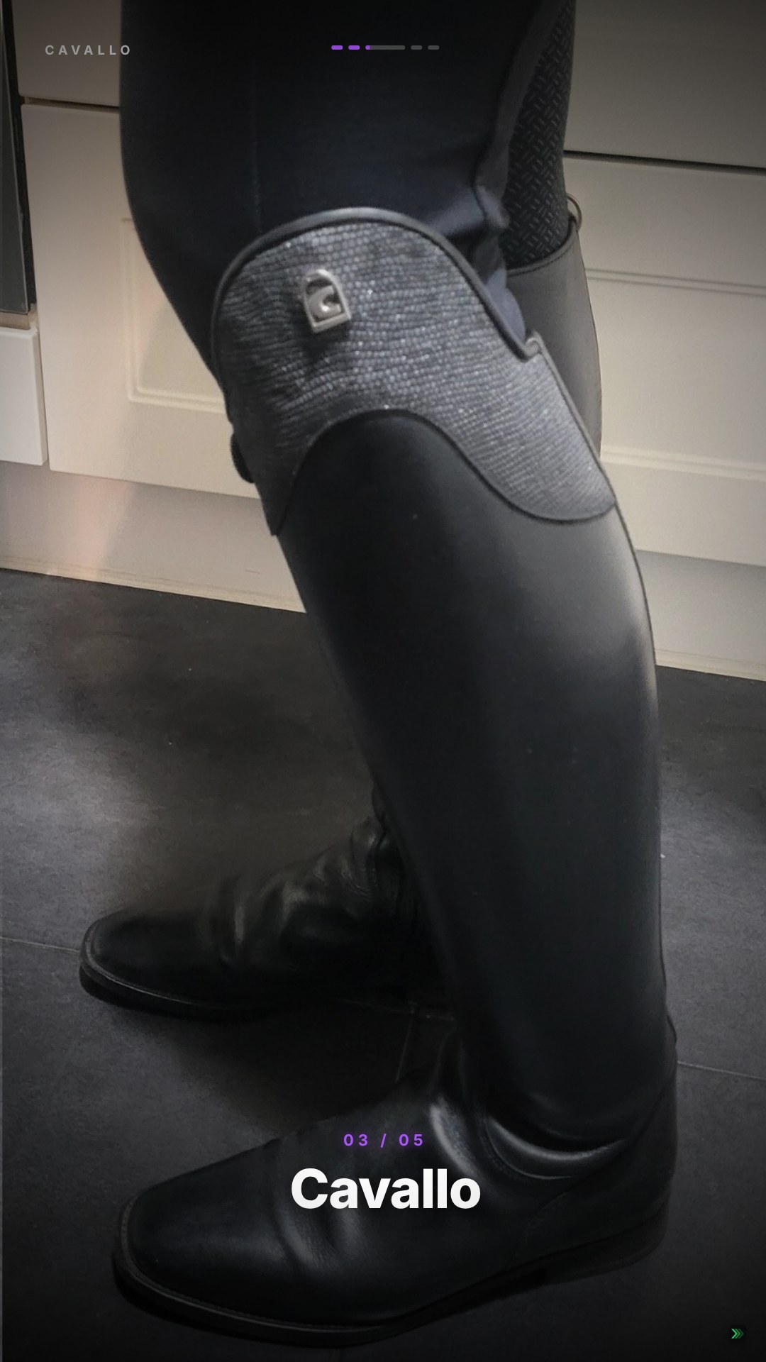 Exemple de vidéo de vente pour Lederreitstiefel